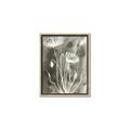 Picture of Brown & White Flower II _GroupedProduct_Rectangle_Portrait_Canvas_Framed_