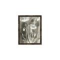 Picture of Brown & White Flower II _GroupedProduct_Rectangle_Portrait_Canvas_Framed_