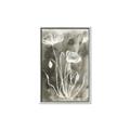Picture of Brown & White Flower II _GroupedProduct_Rectangle_Portrait_Canvas_Framed_