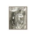Picture of Brown & White Flower II _GroupedProduct_Rectangle_Portrait_Canvas_Framed_