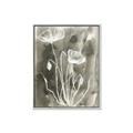 Picture of Brown & White Flower II _GroupedProduct_Rectangle_Portrait_Canvas_Framed_