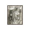 Picture of Brown & White Flower II _GroupedProduct_Rectangle_Portrait_Canvas_Framed_