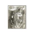 Picture of Brown & White Flower II _GroupedProduct_Rectangle_Portrait_Canvas_Framed_