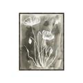 Picture of Brown & White Flower II _GroupedProduct_Rectangle_Portrait_Canvas_Framed_