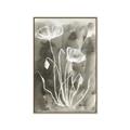 Picture of Brown & White Flower II _GroupedProduct_Rectangle_Portrait_Canvas_Framed_