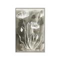Picture of Brown & White Flower II _GroupedProduct_Rectangle_Portrait_Canvas_Framed_
