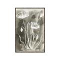 Picture of Brown & White Flower II _GroupedProduct_Rectangle_Portrait_Canvas_Framed_