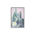 Picture of Pink Cactus _GroupedProduct_Rectangle_Portrait_Canvas_Framed_