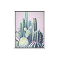 Picture of Pink Cactus _GroupedProduct_Rectangle_Portrait_Canvas_Framed_