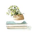 Picture of Pot On The Books I _GroupedProduct_Square_Unframed_Print_Only_