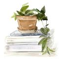 Picture of Flower Pot On Books _GroupedProduct_Square_Unframed_Print_Only_