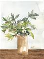 Picture of Potted Greens II _GroupedProduct_Rectangle_Portrait_Unframed_Print_Only_