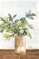 Picture of Potted Greens II _GroupedProduct_Rectangle_Portrait_Unframed_Print_Only_