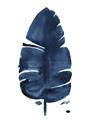 Picture of Blue Tropical Leaf II _GroupedProduct_Rectangle_Portrait_Unframed_Print_Only_
