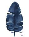 Picture of Blue Tropical Leaf II _GroupedProduct_Rectangle_Portrait_Unframed_Print_Only_