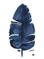 Picture of Blue Tropical Leaf II _GroupedProduct_Rectangle_Portrait_Unframed_Print_Only_