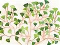 Picture of Happy Leaves _GroupedProduct_Rectangle_Landscape_Unframed_Print_Only_