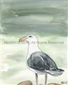Picture of Sea Gull _GroupedProduct_Rectangle_Portrait_Unframed_Print_Only_