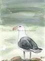 Picture of Sea Gull _GroupedProduct_Rectangle_Portrait_Unframed_Print_Only_