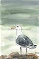 Picture of Sea Gull _GroupedProduct_Rectangle_Portrait_Unframed_Print_Only_