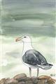 Picture of Sea Gull _GroupedProduct_Rectangle_Portrait_Unframed_Print_Only_