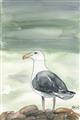 Picture of Sea Gull _GroupedProduct_Rectangle_Portrait_Unframed_Print_Only_