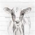 Picture of Frontal Cow Portrait _GroupedProduct_Square_Unframed_Print_Only_
