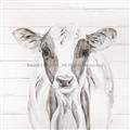 Picture of Frontal Cow Portrait _GroupedProduct_Square_Unframed_Print_Only_