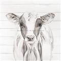 Picture of Frontal Cow Portrait _GroupedProduct_Square_Unframed_Print_Only_