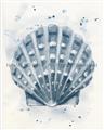 Picture of Blue Seashell _GroupedProduct_Rectangle_Portrait_Unframed_Print_Only_