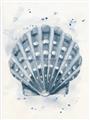 Picture of Blue Seashell _GroupedProduct_Rectangle_Portrait_Unframed_Print_Only_