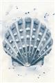 Picture of Blue Seashell _GroupedProduct_Rectangle_Portrait_Unframed_Print_Only_