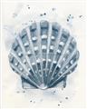 Picture of Blue Seashell _GroupedProduct_Rectangle_Portrait_Unframed_Print_Only_