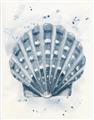 Picture of Blue Seashell _GroupedProduct_Rectangle_Portrait_Unframed_Print_Only_