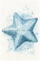Picture of Teal Starfish _GroupedProduct_Rectangle_Portrait_Unframed_Print_Only_