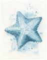 Picture of Teal Starfish _GroupedProduct_Rectangle_Portrait_Unframed_Print_Only_
