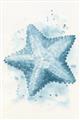 Picture of Teal Starfish _GroupedProduct_Rectangle_Portrait_Unframed_Print_Only_
