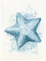 Picture of Teal Starfish _GroupedProduct_Rectangle_Portrait_Unframed_Print_Only_