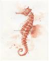 Picture of Coral Seahorse _GroupedProduct_Rectangle_Portrait_Unframed_Print_Only_