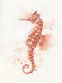 Picture of Coral Seahorse _GroupedProduct_Rectangle_Portrait_Unframed_Print_Only_