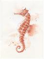 Picture of Coral Seahorse _GroupedProduct_Rectangle_Portrait_Unframed_Print_Only_