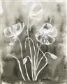 Picture of Brown & White Flower I  _GroupedProduct_Rectangle_Portrait_Unframed_Print_Only_