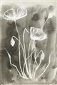 Picture of Brown & White Flower II _GroupedProduct_Rectangle_Portrait_Unframed_Print_Only_