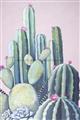 Picture of Pink Cactus _GroupedProduct_Rectangle_Portrait_Unframed_Print_Only_