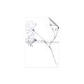 Picture of Flowering Tree Twigs II _GroupedProduct_Rectangle_Portrait_Unframed_Print_Only_
