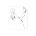 Picture of Flowering Tree Twigs II _GroupedProduct_Rectangle_Portrait_Unframed_Print_Only_