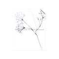 Picture of Flowering Tree Twigs II _GroupedProduct_Rectangle_Portrait_Unframed_Print_Only_