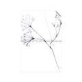 Picture of Flowering Tree Twigs II _GroupedProduct_Rectangle_Portrait_Unframed_Print_Only_