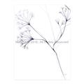 Picture of Flowering Tree Twigs II _GroupedProduct_Rectangle_Portrait_Unframed_Print_Only_