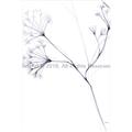 Picture of Flowering Tree Twigs II _GroupedProduct_Rectangle_Portrait_Unframed_Print_Only_